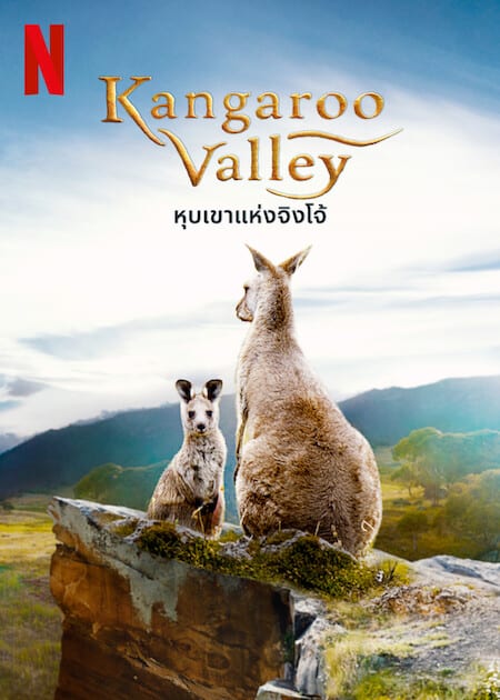 ดูหนังออนไลน์ Kangaroo Valley หุบเขาแห่งจิงโจ้ (2022) NETFLIX